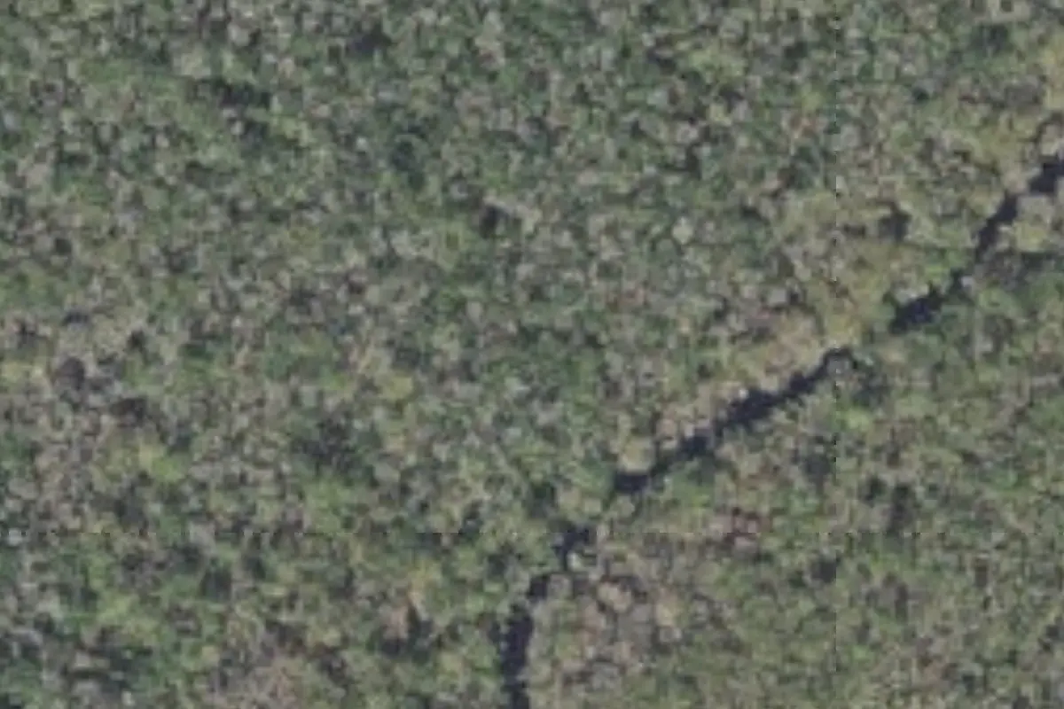 Aerial view of Econfina River State Park