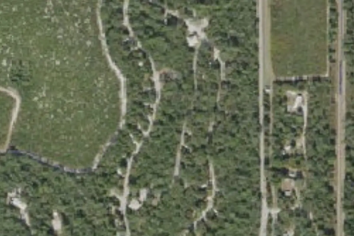 Aerial view of Blue Spring State Park
