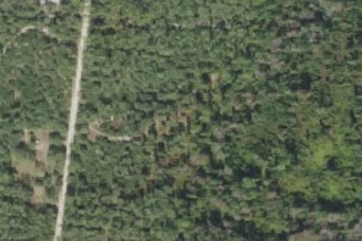 Aerial view of Heart Island Conservation Area campsites