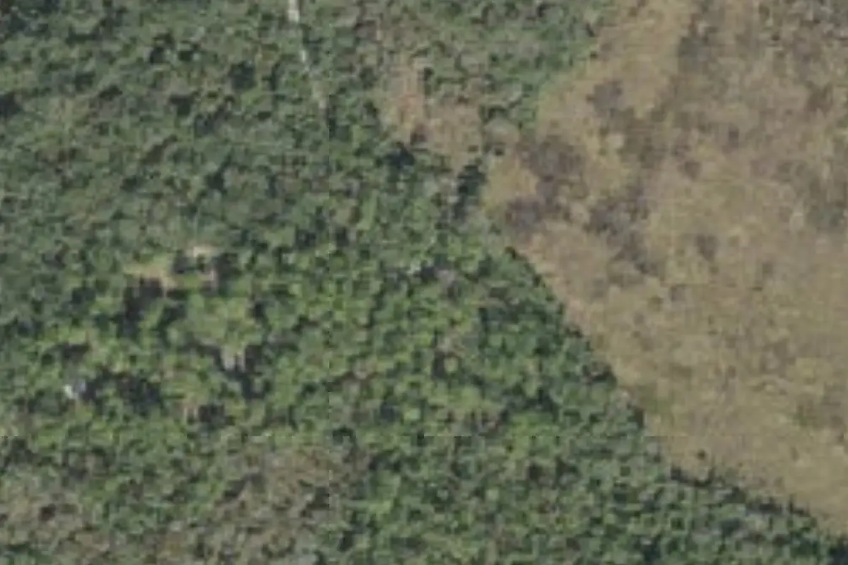 Aerial view of Hontoon Island State Park
