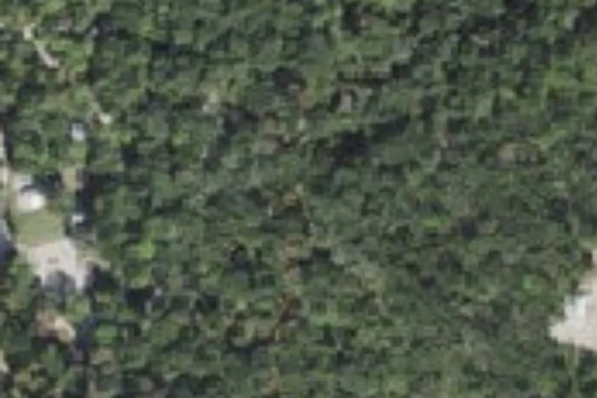 Aerial view of Lake Ashby Park