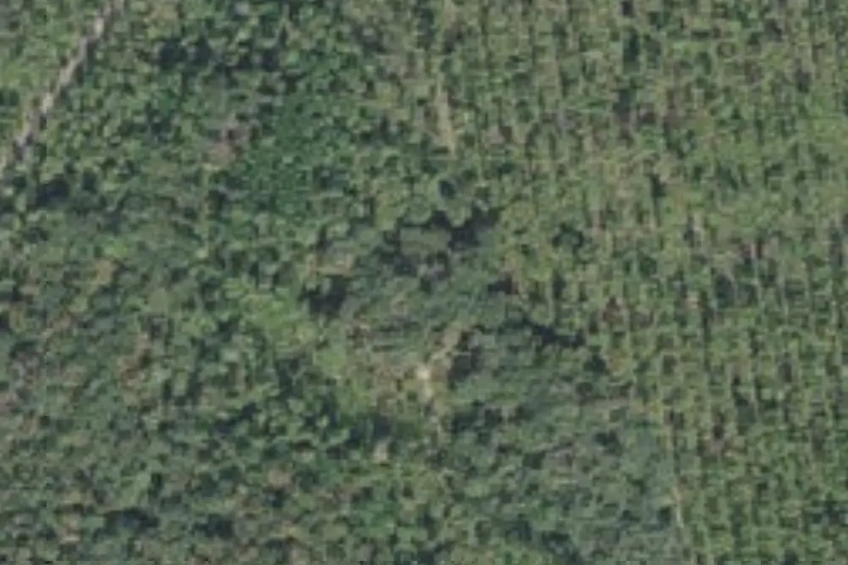Aerial view of Lake George Conservation Area campsites
