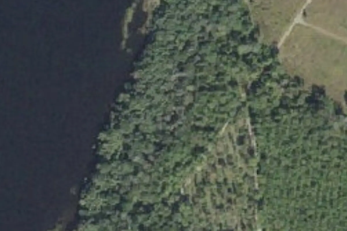 Aerial view of Lake George Forest - Volusia County campsites