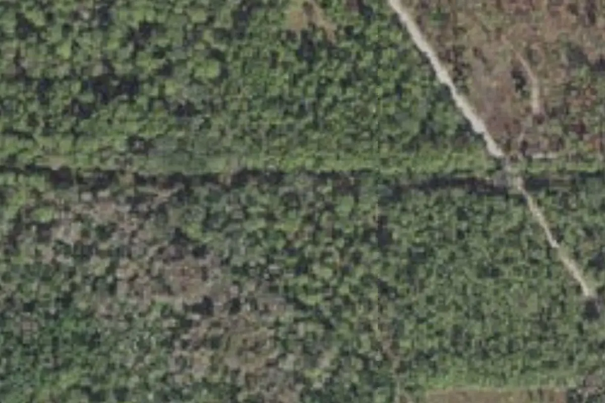 Aerial view of Lake Monroe Park