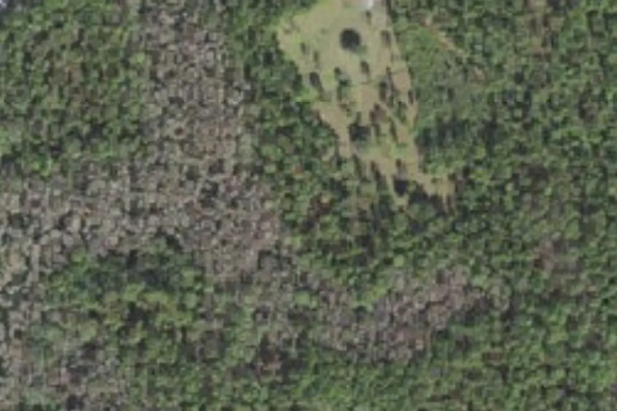 Aerial view of Palm Bluff Conservation Area campsites