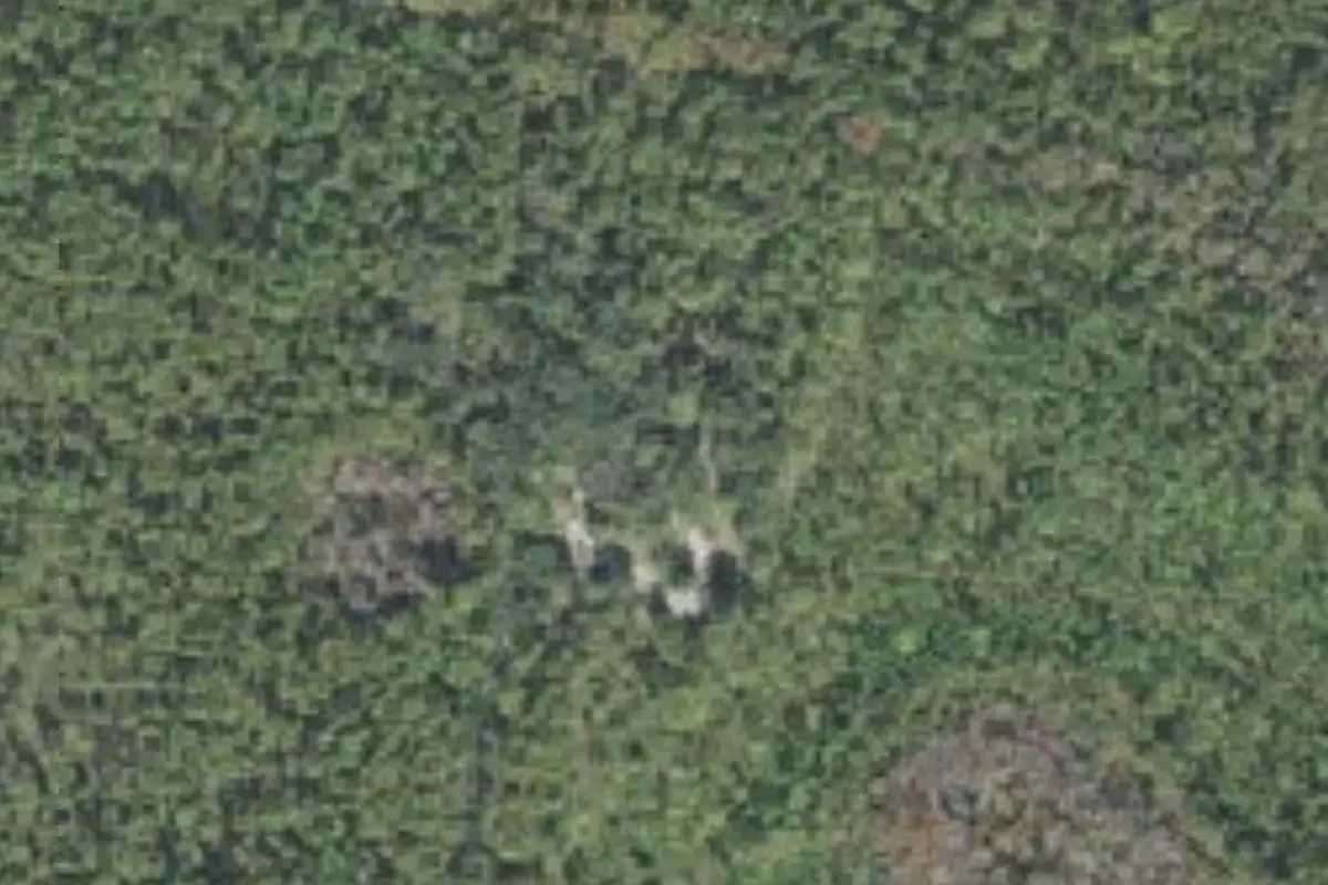 Aerial view of River Road Campground, Lake George State Forest