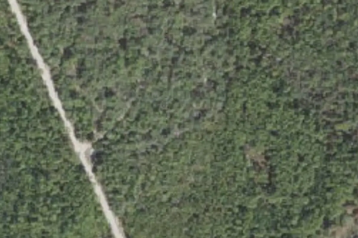 Aerial view of Tiger Bay State Forest primitive campsites