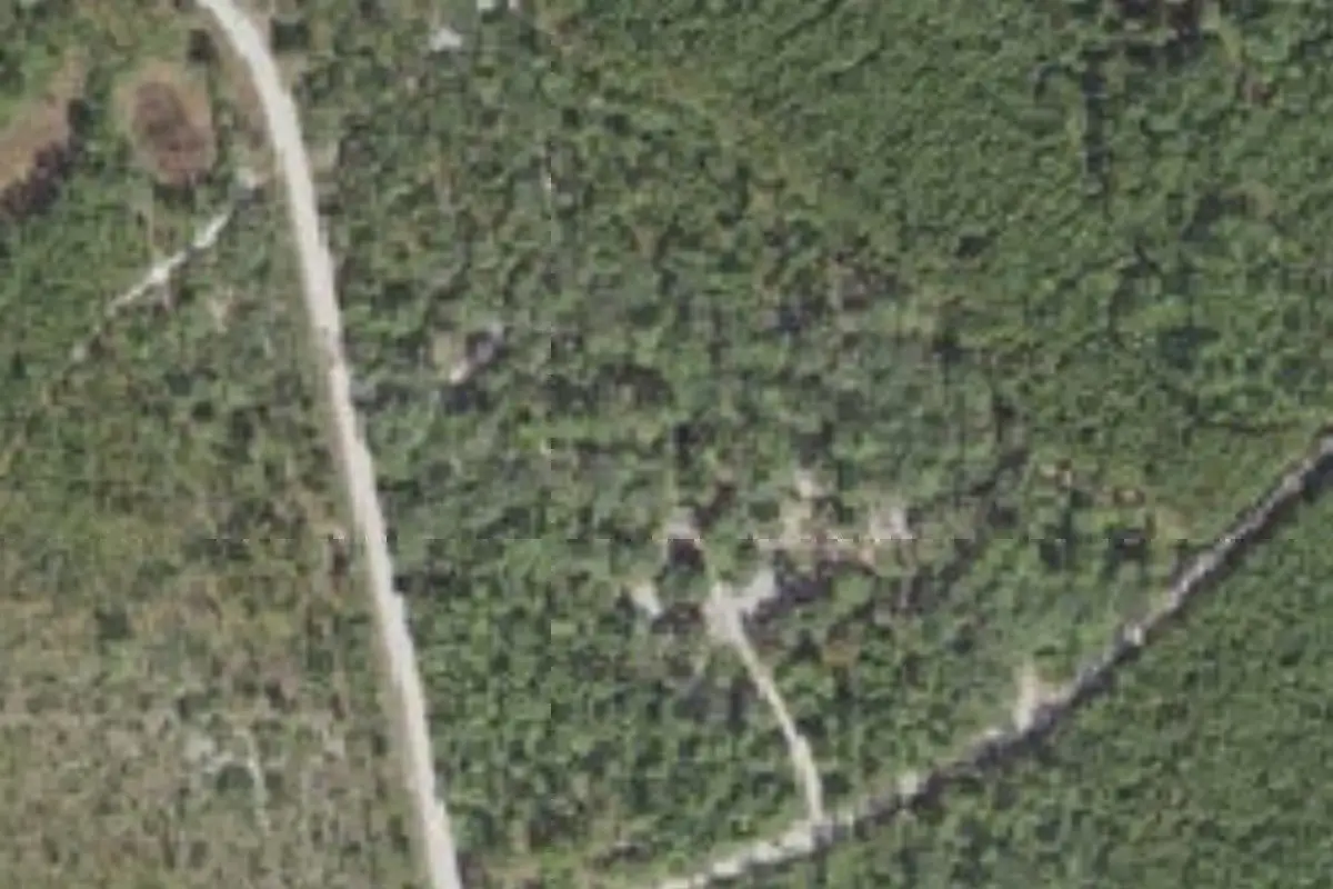 Aerial view of Tram Road Equestrian Campground, Tiger Bay State Forest