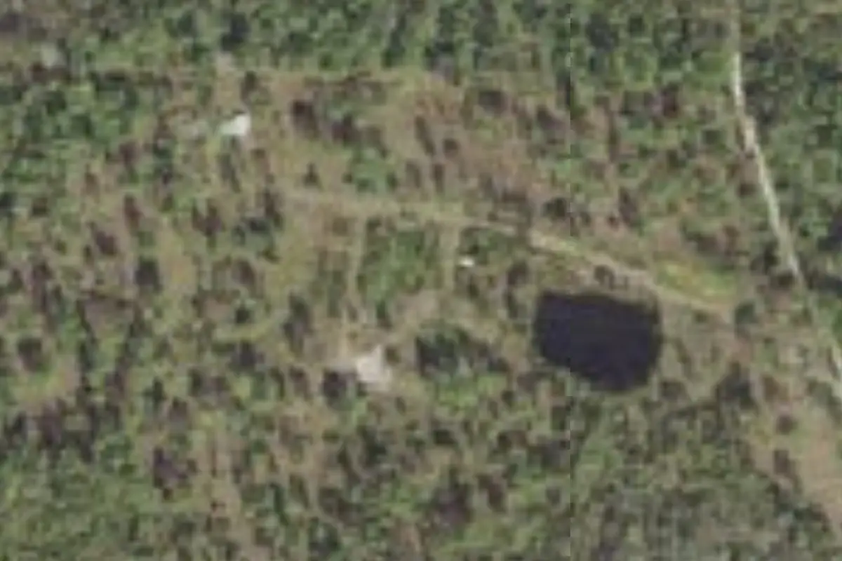 Aerial view of Longleaf Pine Preserve Campsite