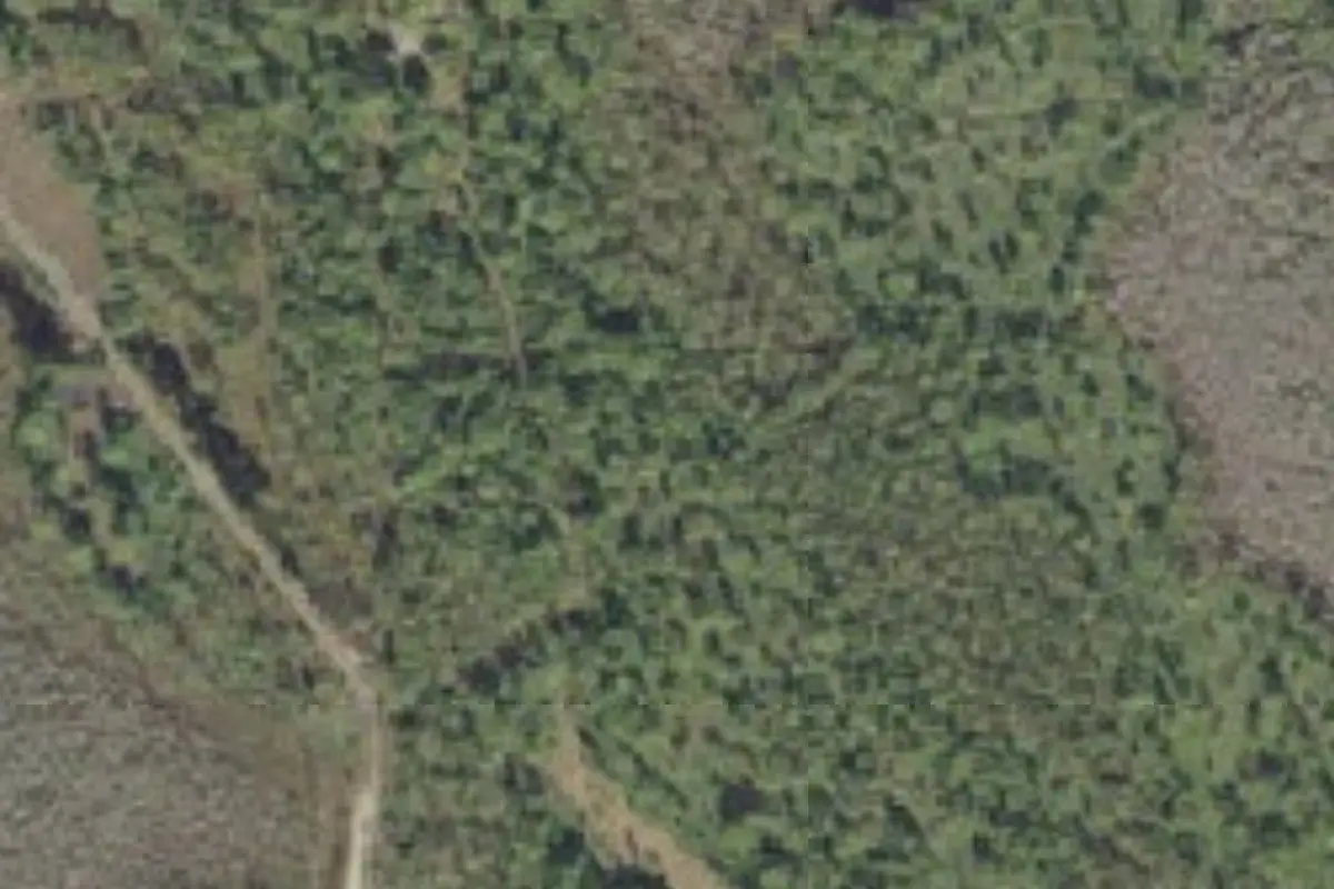 Aerial view of Unnamed campground
