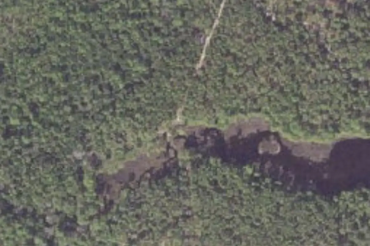 Aerial view of Eastern Lake Campground 1 Point Washington State Forest
