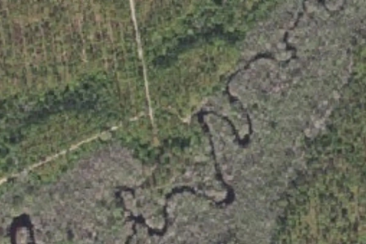 Aerial view of Pine Log State Forest primitive campsites