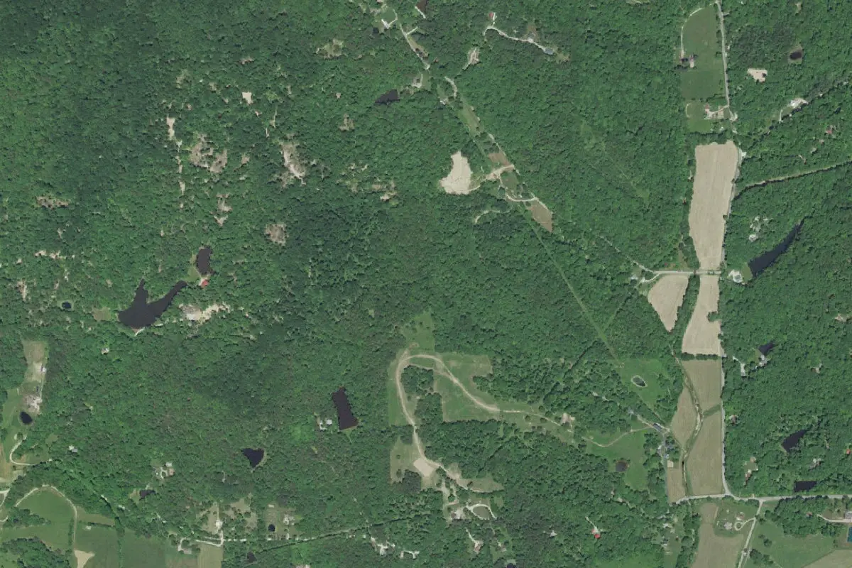 Aerial view of Yellowwood State Forest