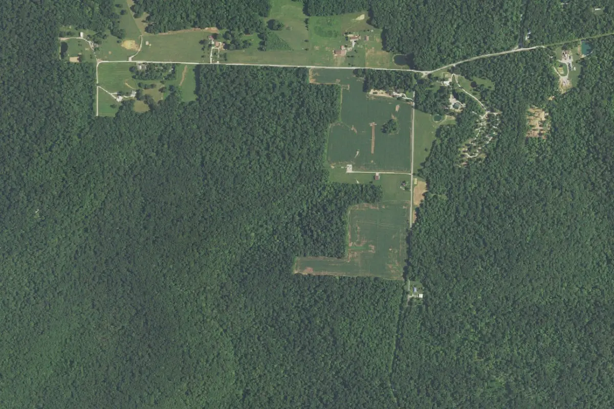 Aerial view of Harrison-Crawford State Forest