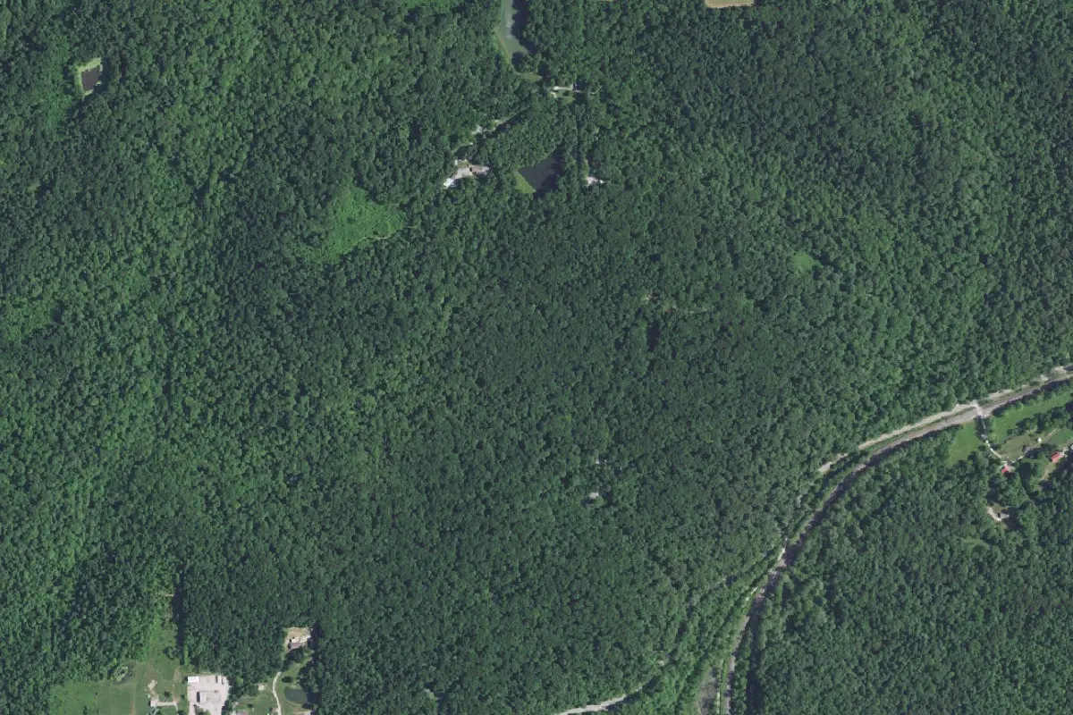Aerial view of Martin State Forest