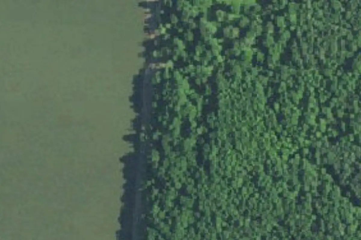 Aerial view of Charles C. Deam Wilderness designated backcountry campsites