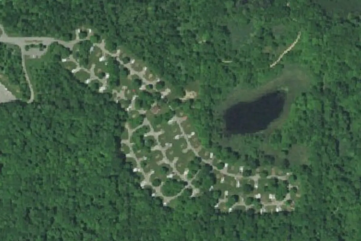 Aerial view of Potato Creek State Park