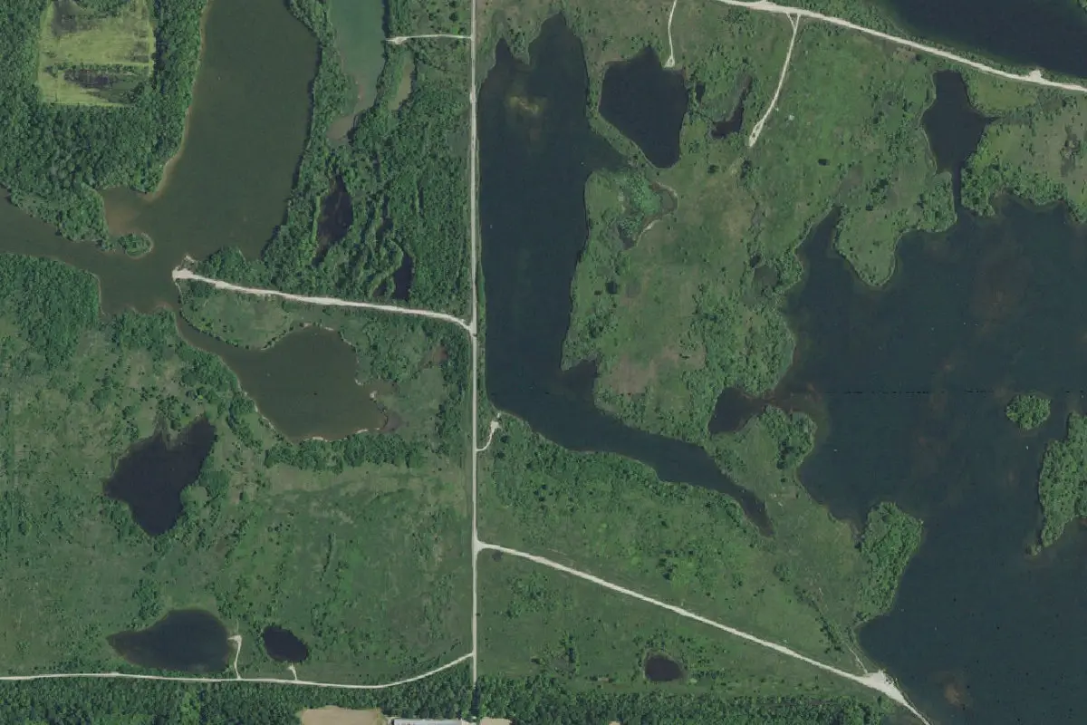 Aerial view of Greene-Sullivan State Forest